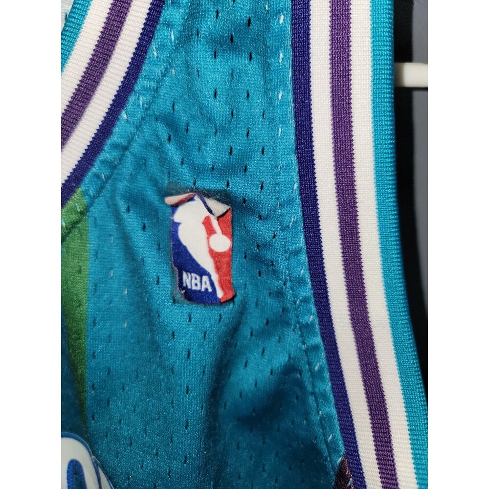 Charlotte Hornets Larry Johnson Mitchell and Ness Hardwood Classics Jersey Men's - Picture 4 of 8